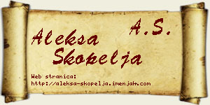 Aleksa Škopelja vizit kartica